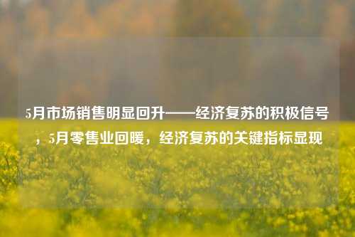5月市场销售明显回升——经济复苏的积极信号，5月零售业回暖，经济复苏的关键指标显现