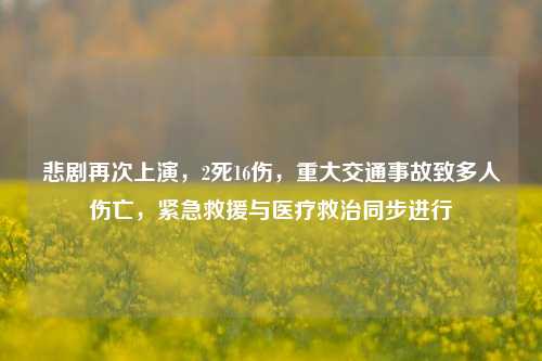 悲剧再次上演，2死16伤，重大交通事故致多人伤亡，紧急救援与医疗救治同步进行