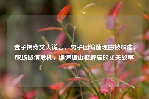 妻子揭穿丈夫谎言，男子因编造理由被解雇，职场诚信危机，编造理由被解雇的丈夫故事