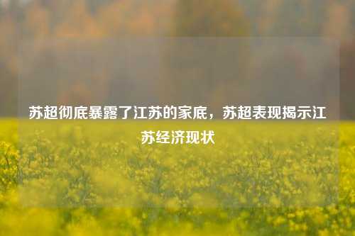 苏超彻底暴露了江苏的家底，苏超表现揭示江苏经济现状