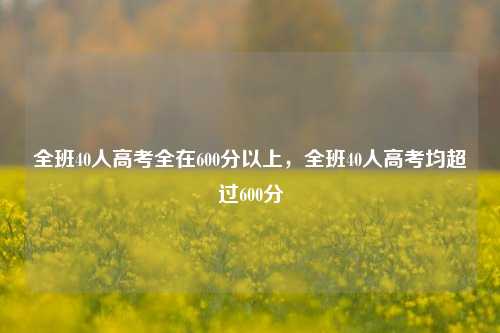 全班40人高考全在600分以上，全班40人高考均超过600分