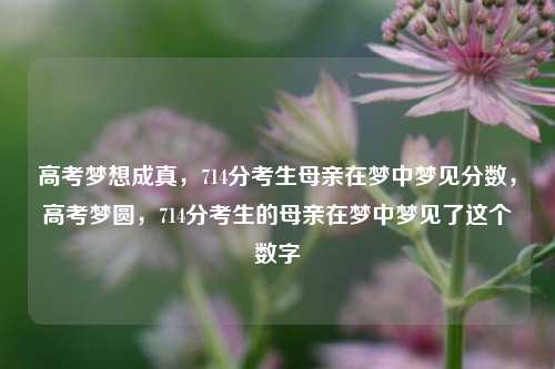 高考梦想成真，714分考生母亲在梦中梦见分数，高考梦圆，714分考生的母亲在梦中梦见了这个数字