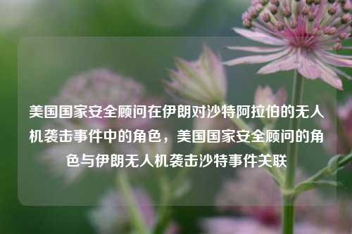 美国国家安全顾问在伊朗对沙特阿拉伯的无人机袭击事件中的角色，美国国家安全顾问的角色与伊朗无人机袭击沙特事件关联