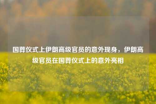 国葬仪式上伊朗高级官员的意外现身，伊朗高级官员在国葬仪式上的意外亮相