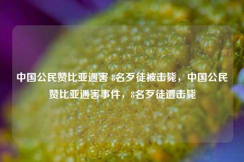 中国公民赞比亚遇害 8名歹徒被击毙，中国公民赞比亚遇害事件，8名歹徒遭击毙
