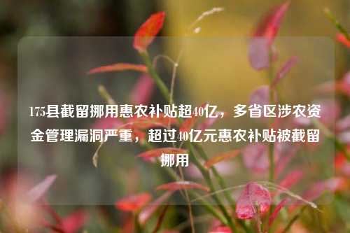 175县截留挪用惠农补贴超40亿，多省区涉农资金管理漏洞严重，超过40亿元惠农补贴被截留挪用