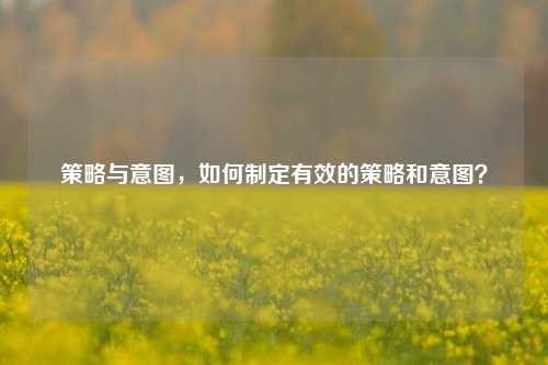 策略与意图，如何制定有效的策略和意图？