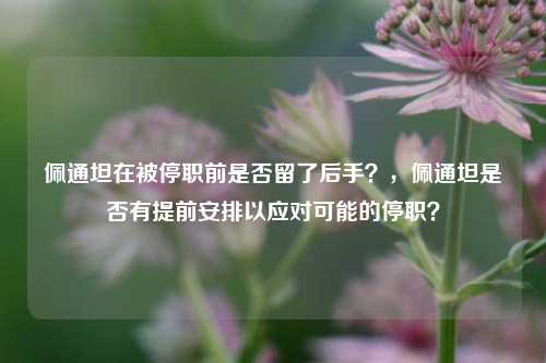 佩通坦在被停职前是否留了后手？，佩通坦是否有提前安排以应对可能的停职？