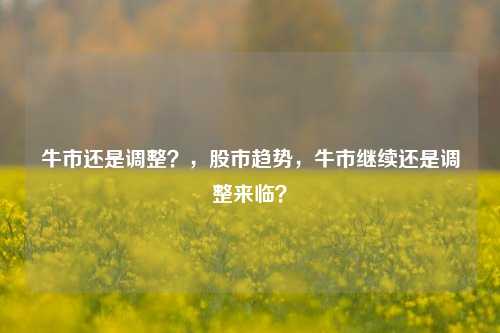 牛市还是调整？，股市趋势，牛市继续还是调整来临？
