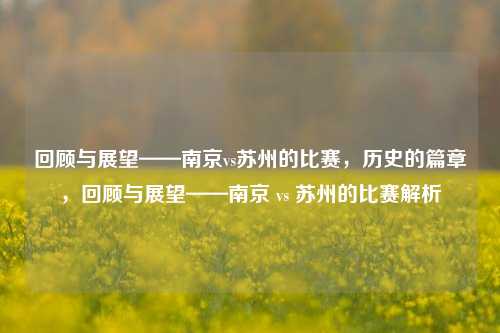 回顾与展望——南京vs苏州的比赛，历史的篇章，回顾与展望——南京 vs 苏州的比赛解析