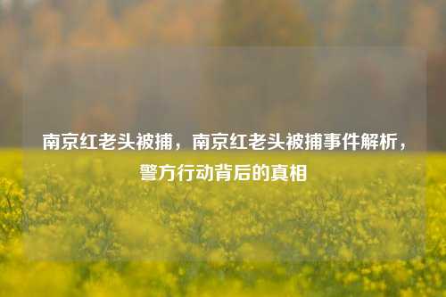 南京红老头被捕，南京红老头被捕事件解析，警方行动背后的真相