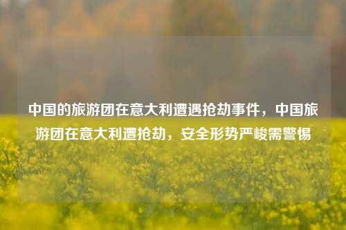 中国的旅游团在意大利遭遇抢劫事件，中国旅游团在意大利遭抢劫，安全形势严峻需警惕