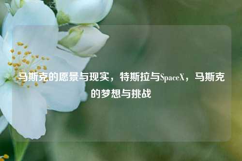 马斯克的愿景与现实，特斯拉与SpaceX，马斯克的梦想与挑战