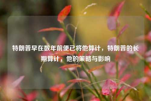 特朗普早在数年前便已将他算计，特朗普的长期算计，他的策略与影响