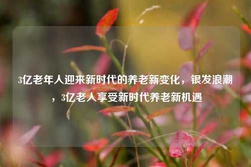 3亿老年人迎来新时代的养老新变化，银发浪潮，3亿老人享受新时代养老新机遇