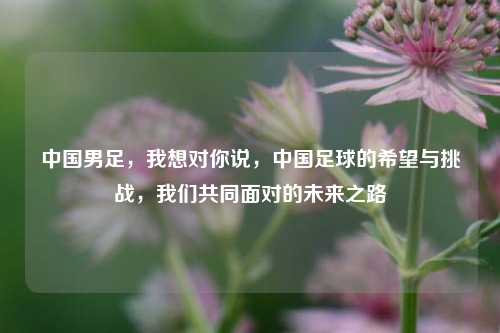 中国男足，我想对你说，中国足球的希望与挑战，我们共同面对的未来之路