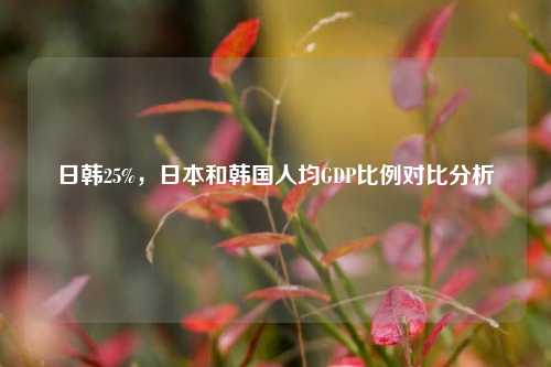 日韩25%，日本和韩国人均GDP比例对比分析