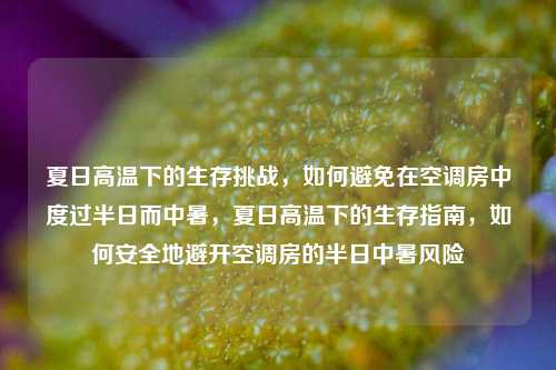 夏日高温下的生存挑战，如何避免在空调房中度过半日而中暑，夏日高温下的生存指南，如何安全地避开空调房的半日中暑风险