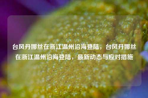 台风丹娜丝在浙江温州沿海登陆，台风丹娜丝在浙江温州沿海登陆，最新动态与应对措施