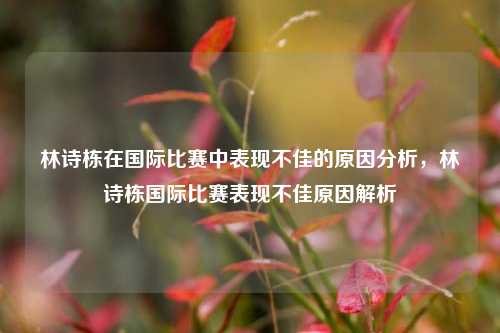 林诗栋在国际比赛中表现不佳的原因分析，林诗栋国际比赛表现不佳原因解析