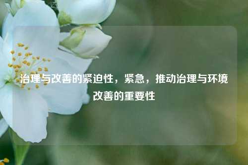 治理与改善的紧迫性，紧急，推动治理与环境改善的重要性