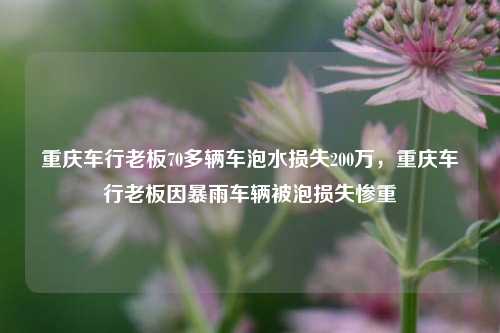 重庆车行老板70多辆车泡水损失200万，重庆车行老板因暴雨车辆被泡损失惨重