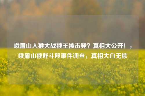 峨眉山人猴大战猴王被击毙？真相大公开！，峨眉山猴群斗殴事件调查，真相大白无欺