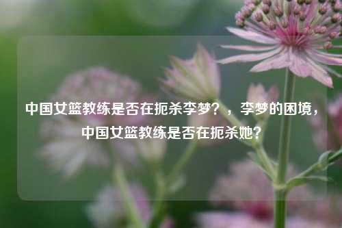中国女篮教练是否在扼杀李梦？，李梦的困境，中国女篮教练是否在扼杀她？