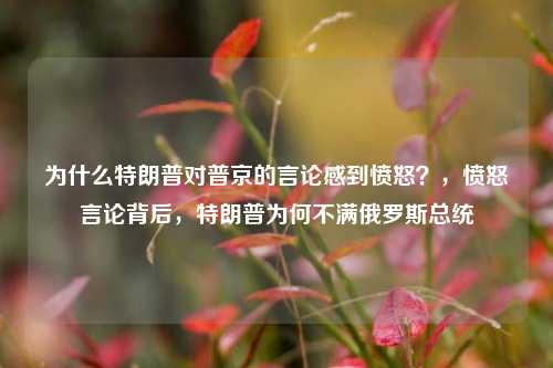为什么特朗普对普京的言论感到愤怒？，愤怒言论背后，特朗普为何不满俄罗斯总统