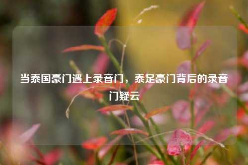 当泰国豪门遇上录音门，泰足豪门背后的录音门疑云