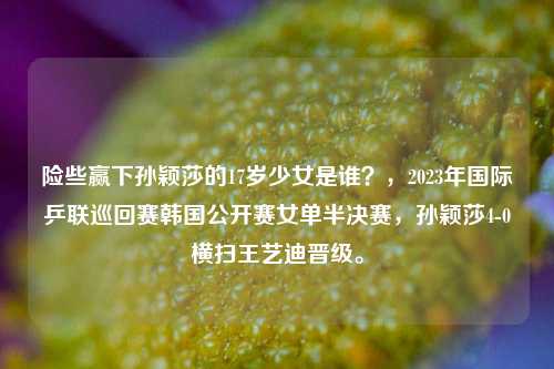 险些赢下孙颖莎的17岁少女是谁？，2023年国际乒联巡回赛韩国公开赛女单半决赛，孙颖莎4-0横扫王艺迪晋级。
