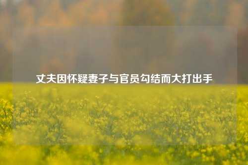 丈夫因怀疑妻子与官员勾结而大打出手