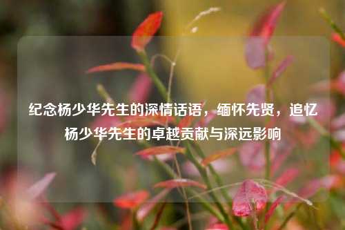 纪念杨少华先生的深情话语，缅怀先贤，追忆杨少华先生的卓越贡献与深远影响