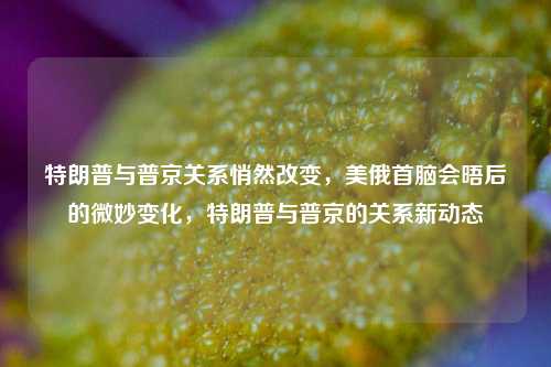 特朗普与普京关系悄然改变，美俄首脑会晤后的微妙变化，特朗普与普京的关系新动态