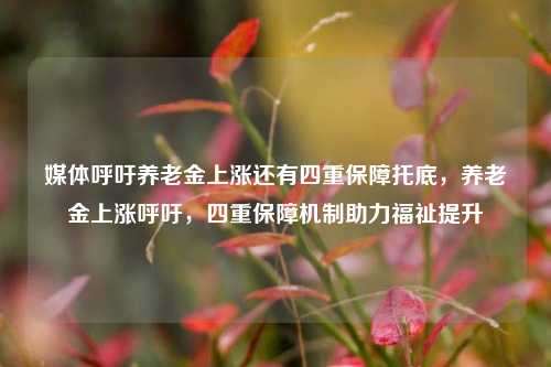 媒体呼吁养老金上涨还有四重保障托底，养老金上涨呼吁，四重保障机制助力福祉提升