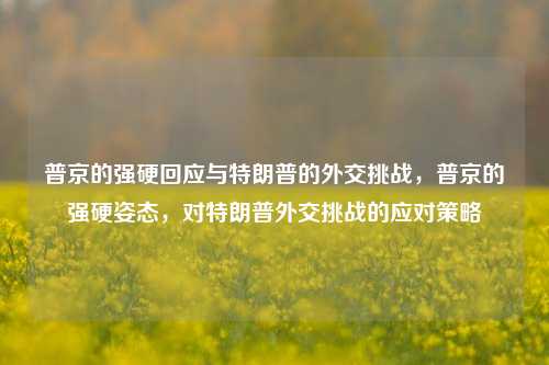 普京的强硬回应与特朗普的外交挑战，普京的强硬姿态，对特朗普外交挑战的应对策略