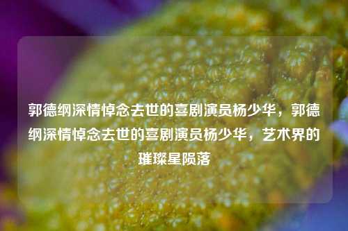 郭德纲深情悼念去世的喜剧演员杨少华，郭德纲深情悼念去世的喜剧演员杨少华，艺术界的璀璨星陨落