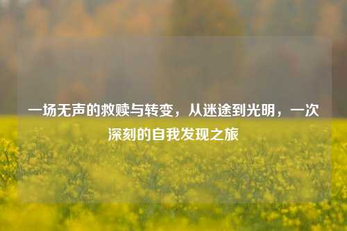 一场无声的救赎与转变，从迷途到光明，一次深刻的自我发现之旅