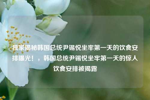 独家揭秘韩国总统尹锡悦坐牢第一天的饮食安排曝光！，韩国总统尹锡悦坐牢第一天的惊人饮食安排被揭露