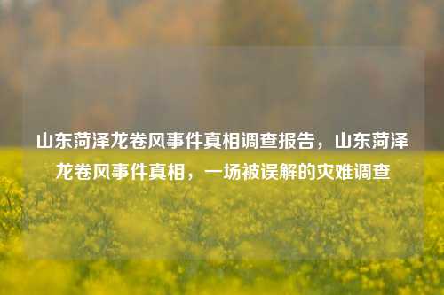 山东菏泽龙卷风事件真相调查报告，山东菏泽龙卷风事件真相，一场被误解的灾难调查