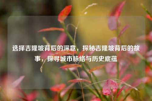 选择吉隆坡背后的深意，探秘吉隆坡背后的故事，探寻城市脉络与历史底蕴