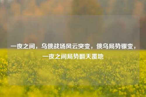 一夜之间，乌俄战场风云突变，俄乌局势骤变，一夜之间局势翻天覆地