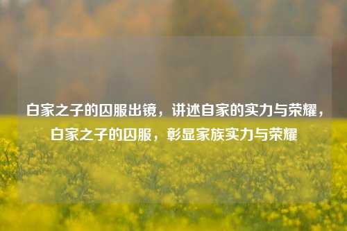 白家之子的囚服出镜，讲述自家的实力与荣耀，白家之子的囚服，彰显家族实力与荣耀