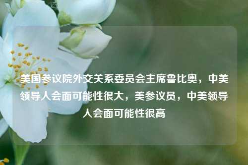 美国参议院外交关系委员会主席鲁比奥，中美领导人会面可能性很大，美参议员，中美领导人会面可能性很高