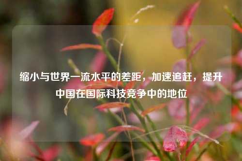 缩小与世界一流水平的差距，加速追赶，提升中国在国际科技竞争中的地位
