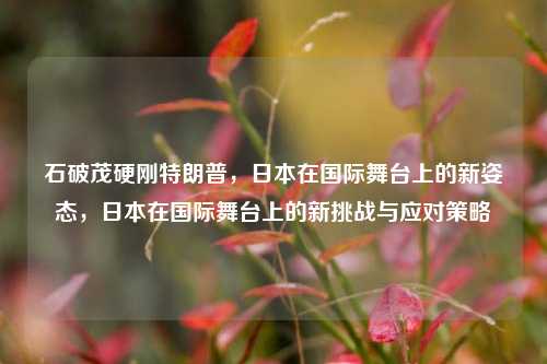 石破茂硬刚特朗普，日本在国际舞台上的新姿态，日本在国际舞台上的新挑战与应对策略
