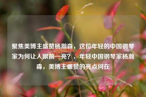 聚焦美博主盛赞杨瀚森，这位年轻的中国钢琴家为何让人眼前一亮？，年轻中国钢琴家杨瀚森，美博主盛赞的亮点何在