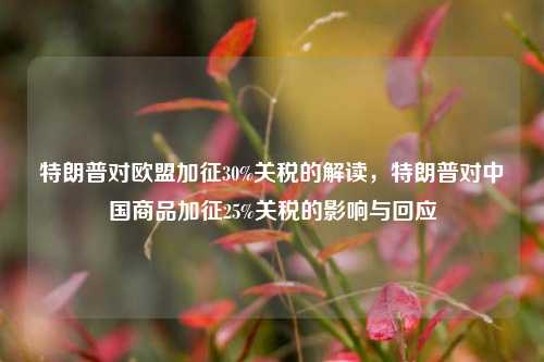 特朗普对欧盟加征30%关税的解读，特朗普对中国商品加征25%关税的影响与回应