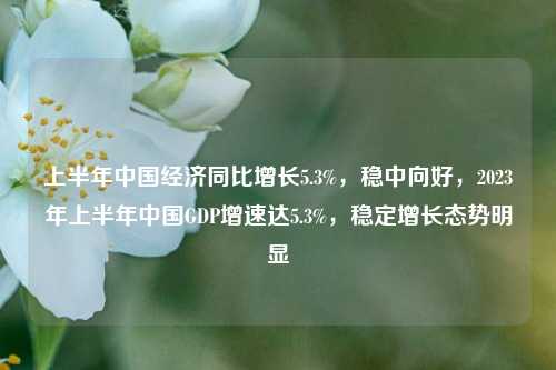 上半年中国经济同比增长5.3%，稳中向好，2023年上半年中国GDP增速达5.3%，稳定增长态势明显