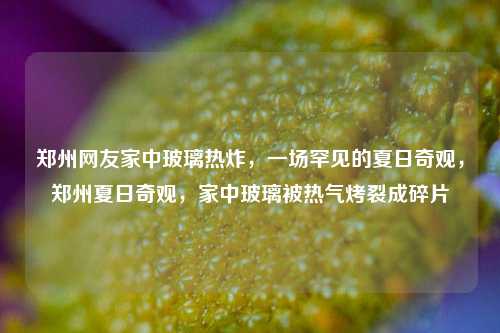 郑州网友家中玻璃热炸，一场罕见的夏日奇观，郑州夏日奇观，家中玻璃被热气烤裂成碎片